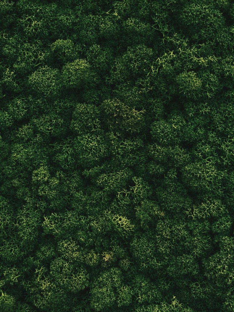 Beitragsbild von Hallo Welt